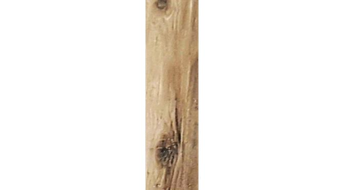 Wood Finish Vitrified Planks