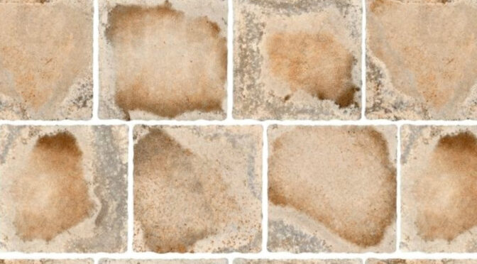 CARE STONE BEIGE